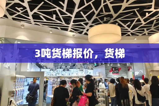 3吨货梯报价，货梯