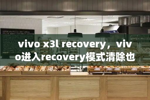 vivo x3l recovery，vivo进入recovery模式清除也要密码