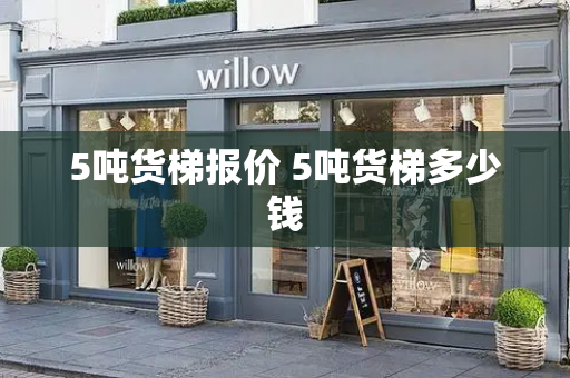 5吨货梯报价 5吨货梯多少钱