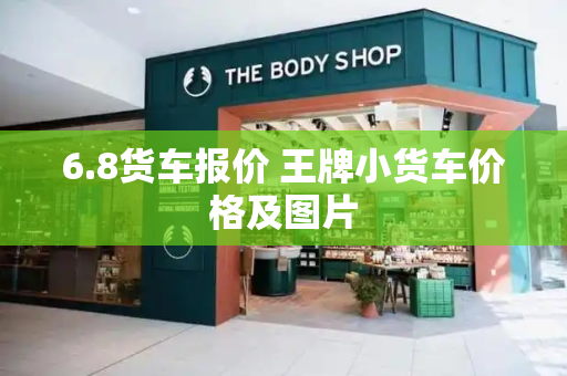 6.8货车报价 王牌小货车价格及图片-第1张图片-星选测评