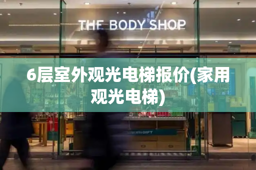 6层室外观光电梯报价(家用观光电梯)