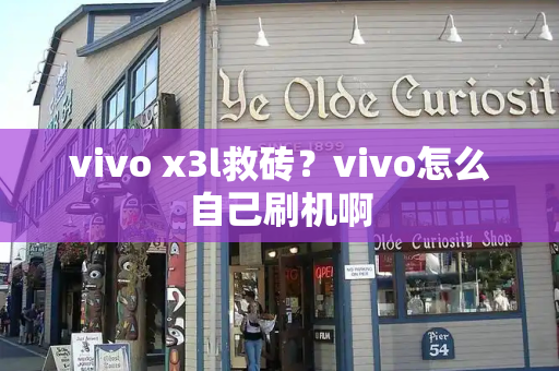 vivo x3l救砖？vivo怎么自己刷机啊-第1张图片-星选测评