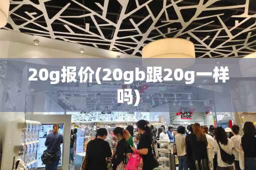 20g报价(20gb跟20g一样吗)-第1张图片-星选测评