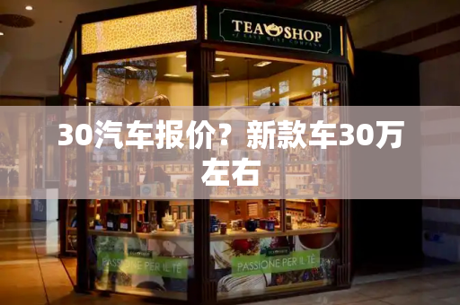 30汽车报价？新款车30万左右