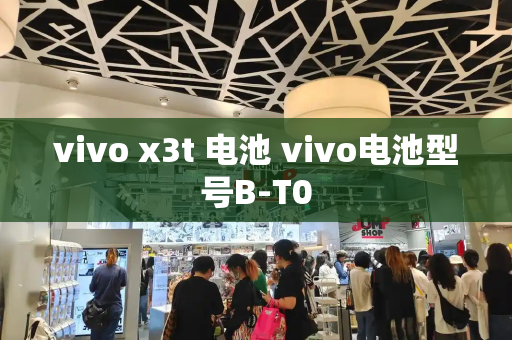 vivo x3t 电池 vivo电池型号B-T0
