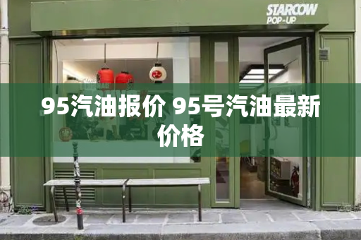 95汽油报价 95号汽油最新价格-第1张图片-星选测评