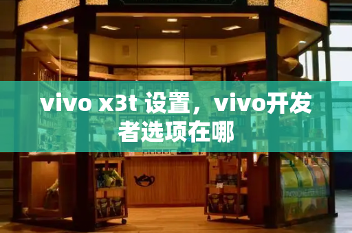 vivo x3t 设置，vivo开发者选项在哪