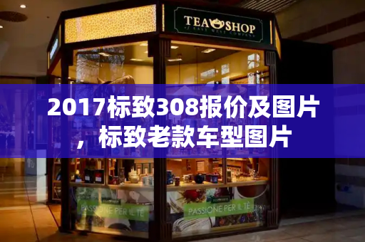 2017标致308报价及图片，标致老款车型图片-第1张图片-星选测评