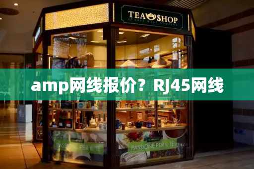 amp网线报价？RJ45网线-第1张图片-星选测评