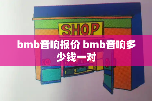 bmb音响报价 bmb音响多少钱一对