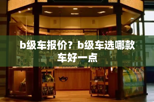 b级车报价？b级车选哪款车好一点-第1张图片-星选测评