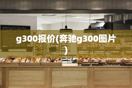 g300报价(奔驰g300图片)-第1张图片-星选测评