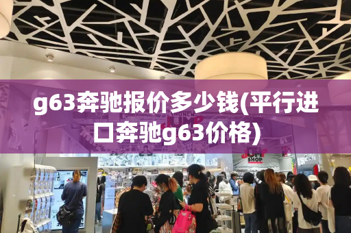 g63奔驰报价多少钱(平行进口奔驰g63价格)-第1张图片-星选测评