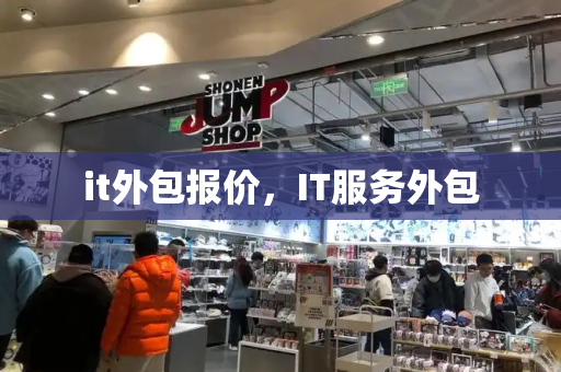 it外包报价，IT服务外包-第1张图片-星选测评