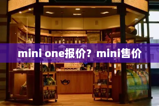 mini one报价？mini售价-第1张图片-星选测评