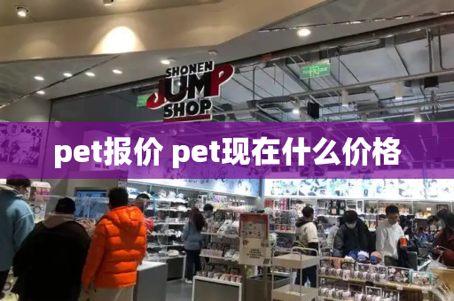 pet报价 pet现在什么价格-第1张图片-星选测评
