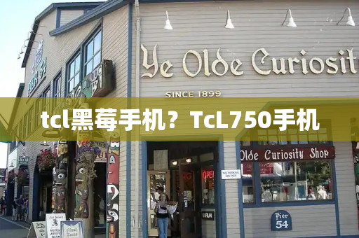 tcl黑莓手机？TcL750手机-第1张图片-星选测评