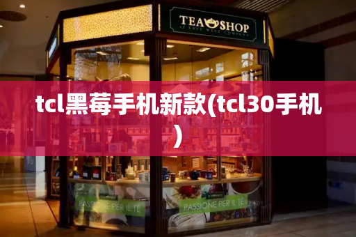 tcl黑莓手机新款(tcl30手机)-第1张图片-星选测评