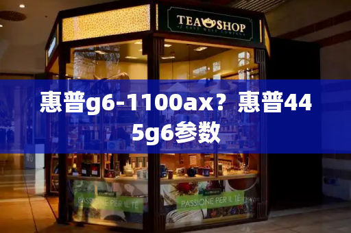惠普g6-1100ax？惠普445g6参数
