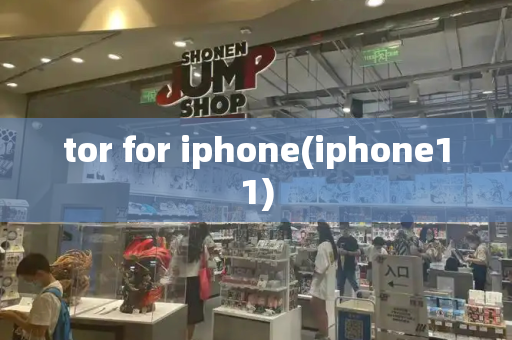 tor for iphone(iphone11)-第1张图片-星选测评