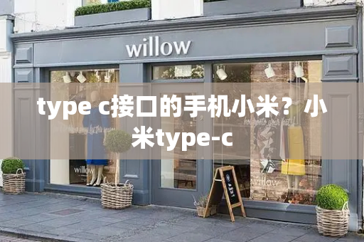 type c接口的手机小米？小米type-c-第1张图片-星选测评