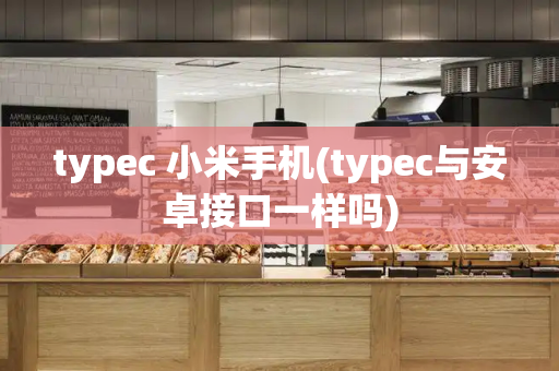 typec 小米手机(typec与安卓接口一样吗)