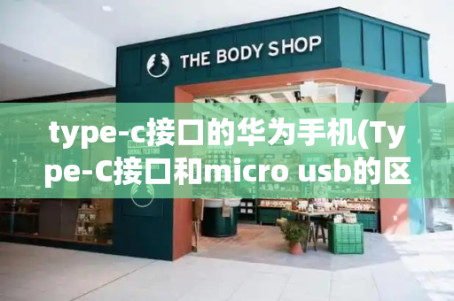 type-c接口的华为手机(Type-C接口和micro usb的区别)