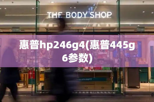 惠普hp246g4(惠普445g6参数)-第1张图片-星选测评