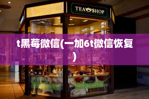 t黑莓微信(一加6t微信恢复)-第1张图片-星选测评