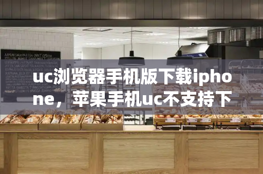 uc浏览器手机版下载iphone，苹果手机uc不支持下载-第1张图片-星选测评