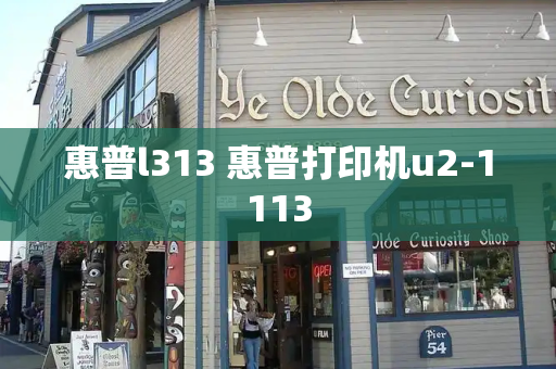惠普l313 惠普打印机u2-1113-第1张图片-星选测评
