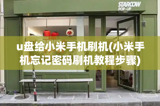 u盘给小米手机刷机(小米手机忘记密码刷机教程步骤)-第1张图片-星选测评