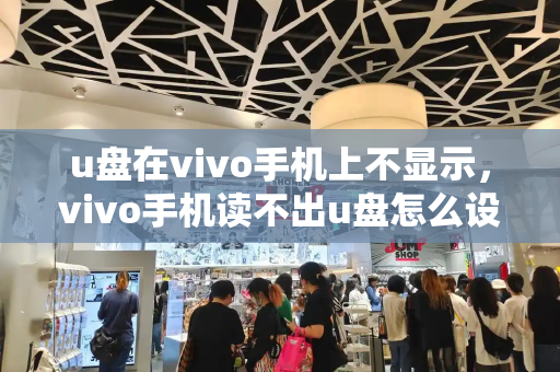 u盘在vivo手机上不显示，vivo手机读不出u盘怎么设置-第1张图片-星选测评
