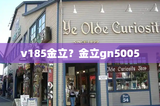 v185金立？金立gn5005