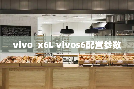 vivo  x6L vivos6配置参数
