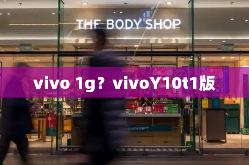 vivo 1g？vivoY10t1版-第1张图片-星选测评