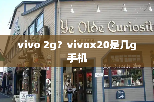 vivo 2g？vivox20是几g手机