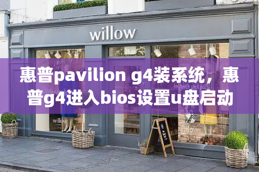 惠普pavilion g4装系统，惠普g4进入bios设置u盘启动