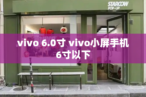 vivo 6.0寸 vivo小屏手机6寸以下