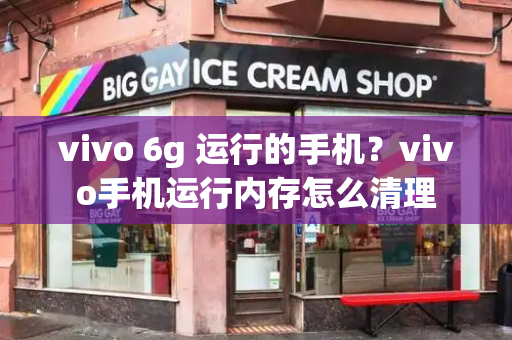 vivo 6g 运行的手机？vivo手机运行内存怎么清理-第1张图片-星选测评