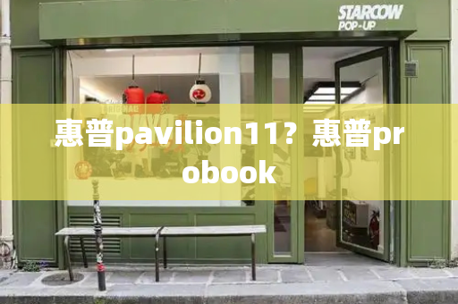 惠普pavilion11？惠普probook