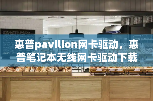 惠普pavilion网卡驱动，惠普笔记本无线网卡驱动下载