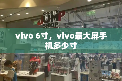 vivo 6寸，vivo最大屏手机多少寸-第1张图片-星选测评