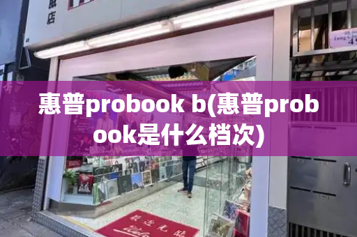 惠普probook b(惠普probook是什么档次)