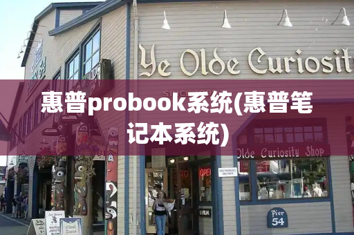 惠普probook系统(惠普笔记本系统)-第1张图片-星选测评