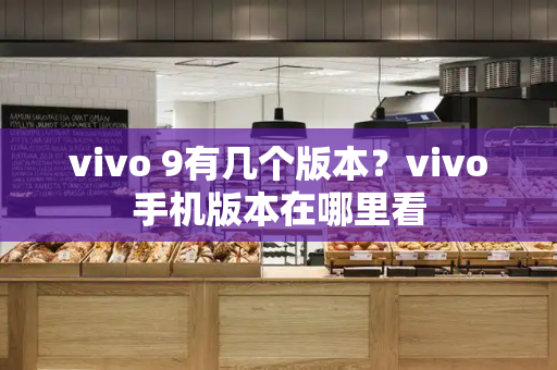 vivo 9有几个版本？vivo手机版本在哪里看-第1张图片-星选测评