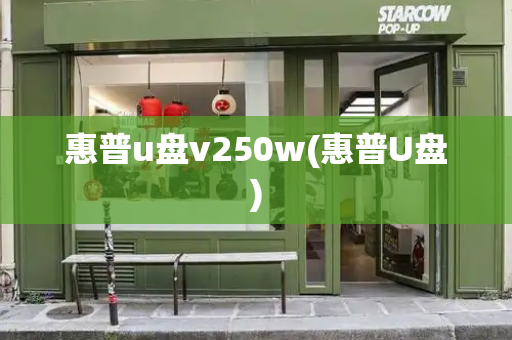 惠普u盘v250w(惠普U盘)-第1张图片-星选测评