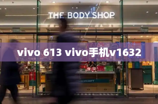 vivo 613 vivo手机v1632-第1张图片-星选测评