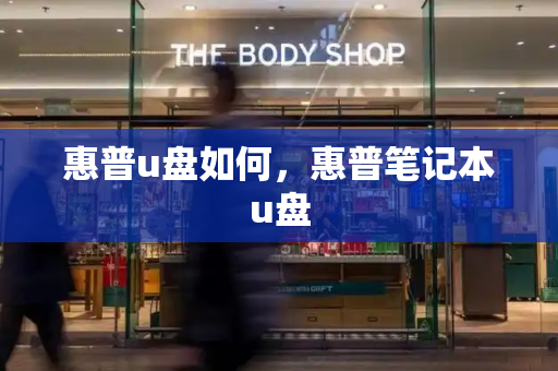 惠普u盘如何，惠普笔记本u盘-第1张图片-星选测评