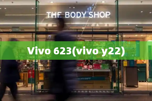 Vivo 623(vivo y22)-第1张图片-星选测评